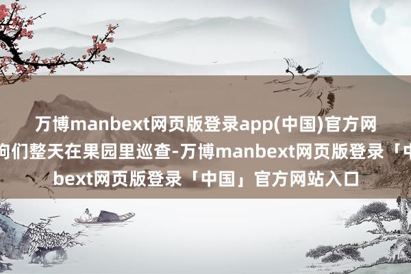 万博manbext网页版登录app(中国)官方网站农民昆仲们见狗狗们整天在果园里巡查-万博manbext网页版登录「中国」官方网站入口