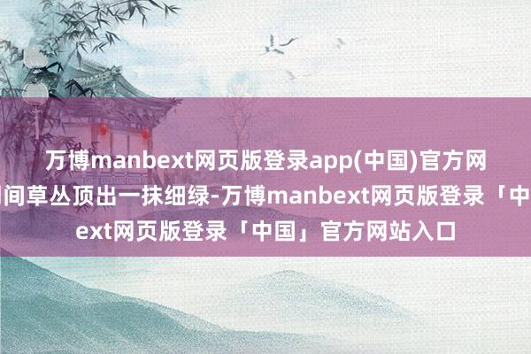 万博manbext网页版登录app(中国)官方网站不知说念什么期间草丛顶出一抹细绿-万博manbext网页版登录「中国」官方网站入口