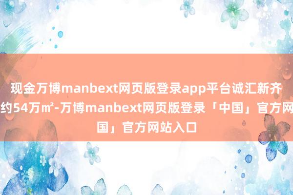 现金万博manbext网页版登录app平台诚汇新齐总占地约54万㎡-万博manbext网页版登录「中国」官方网站入口